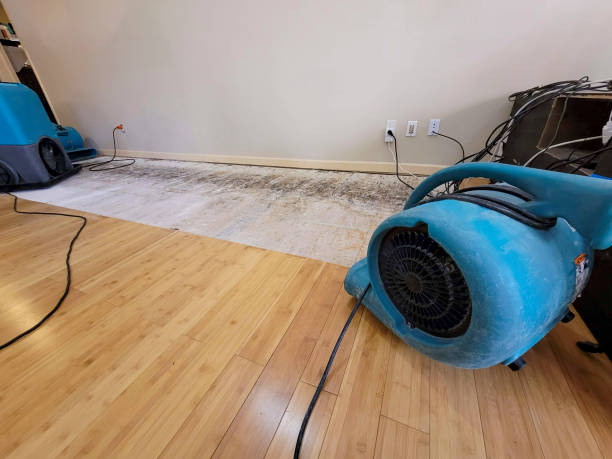 Professional Basement Flood Cleanup technician working in Lovelock, NV